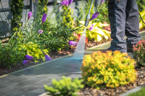 Trusted Dixon, CA Pressure Washing Experts